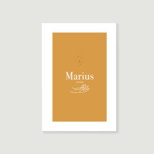 livre d’or de décès, carnet de souvenirs, biographie posthume style Marius